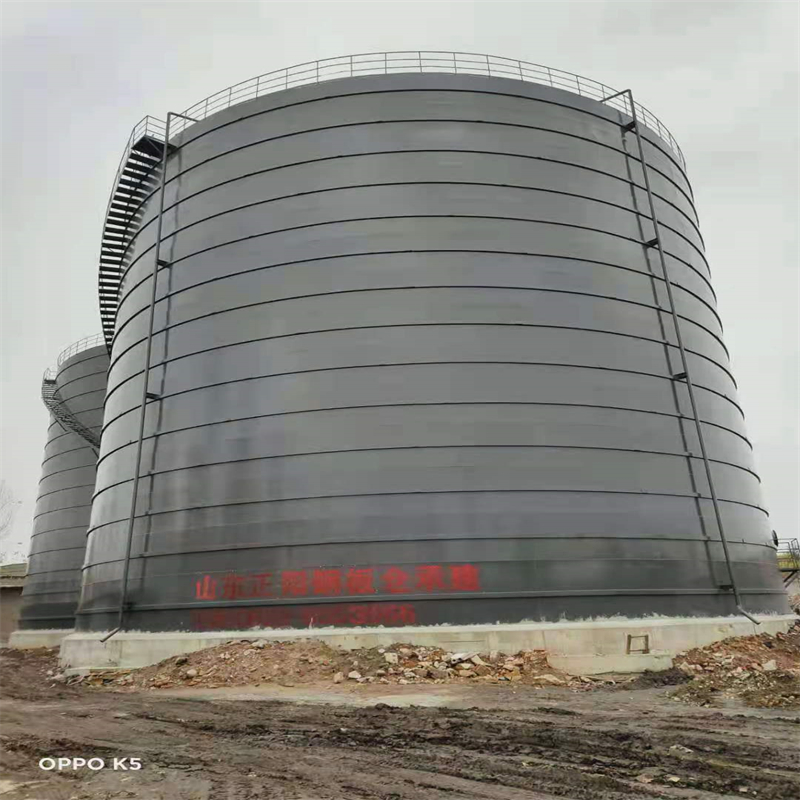 凤庆3万吨大型钢板库