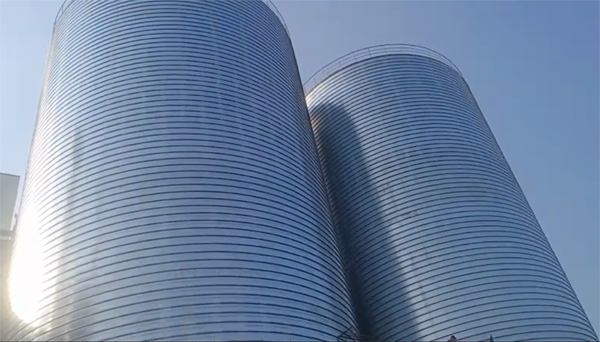 凤庆2座混凝土高架卷板仓